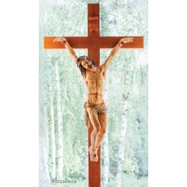 Jezus na krzyżu (Porszewice)